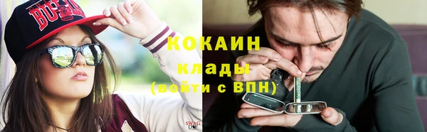 молекула духа Осинники