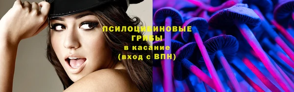 молекула духа Осинники