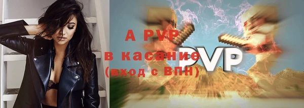 ГАЛЛЮЦИНОГЕННЫЕ ГРИБЫ Осташков