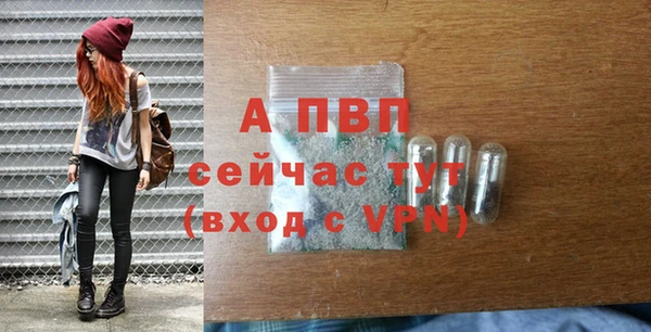 ГАЛЛЮЦИНОГЕННЫЕ ГРИБЫ Осташков