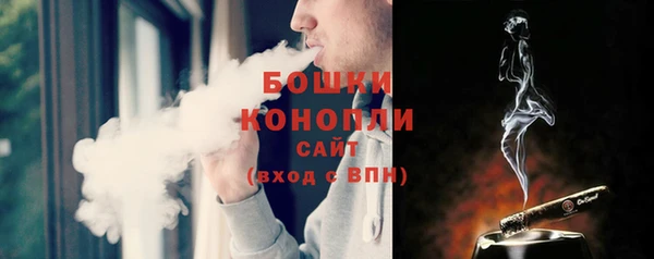 молекула духа Осинники