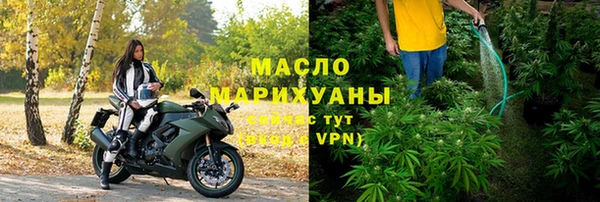 молекула духа Осинники