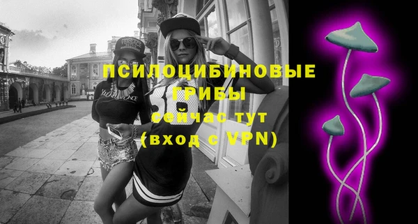 ГАЛЛЮЦИНОГЕННЫЕ ГРИБЫ Осташков