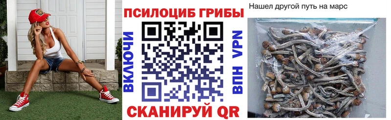 блэк спрут ссылки  Красный Сулин  Псилоцибиновые грибы мицелий 