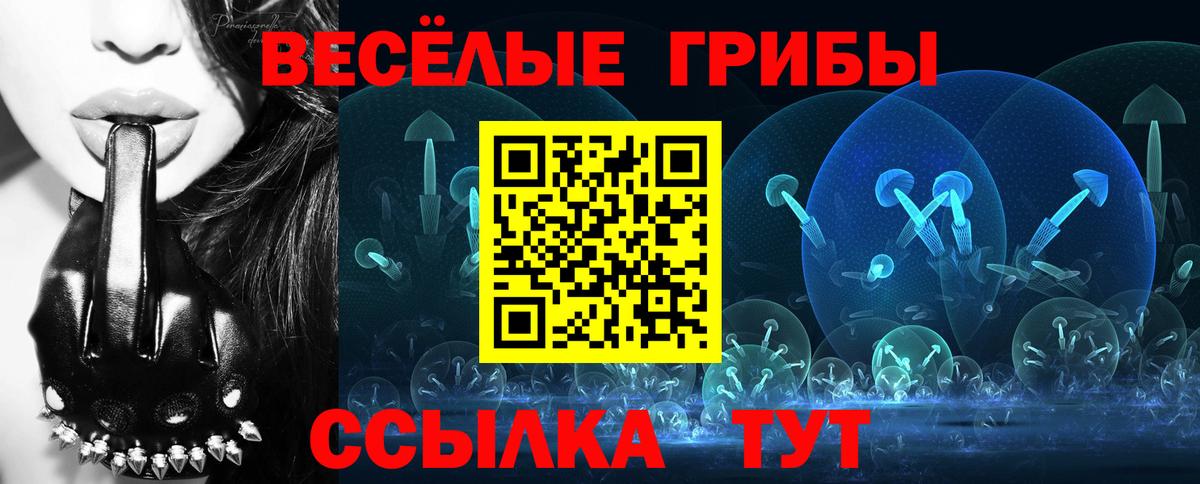 Псилоцибиновые грибы Cubensis  Вход с VPN  купить  цена  Красный Сулин 